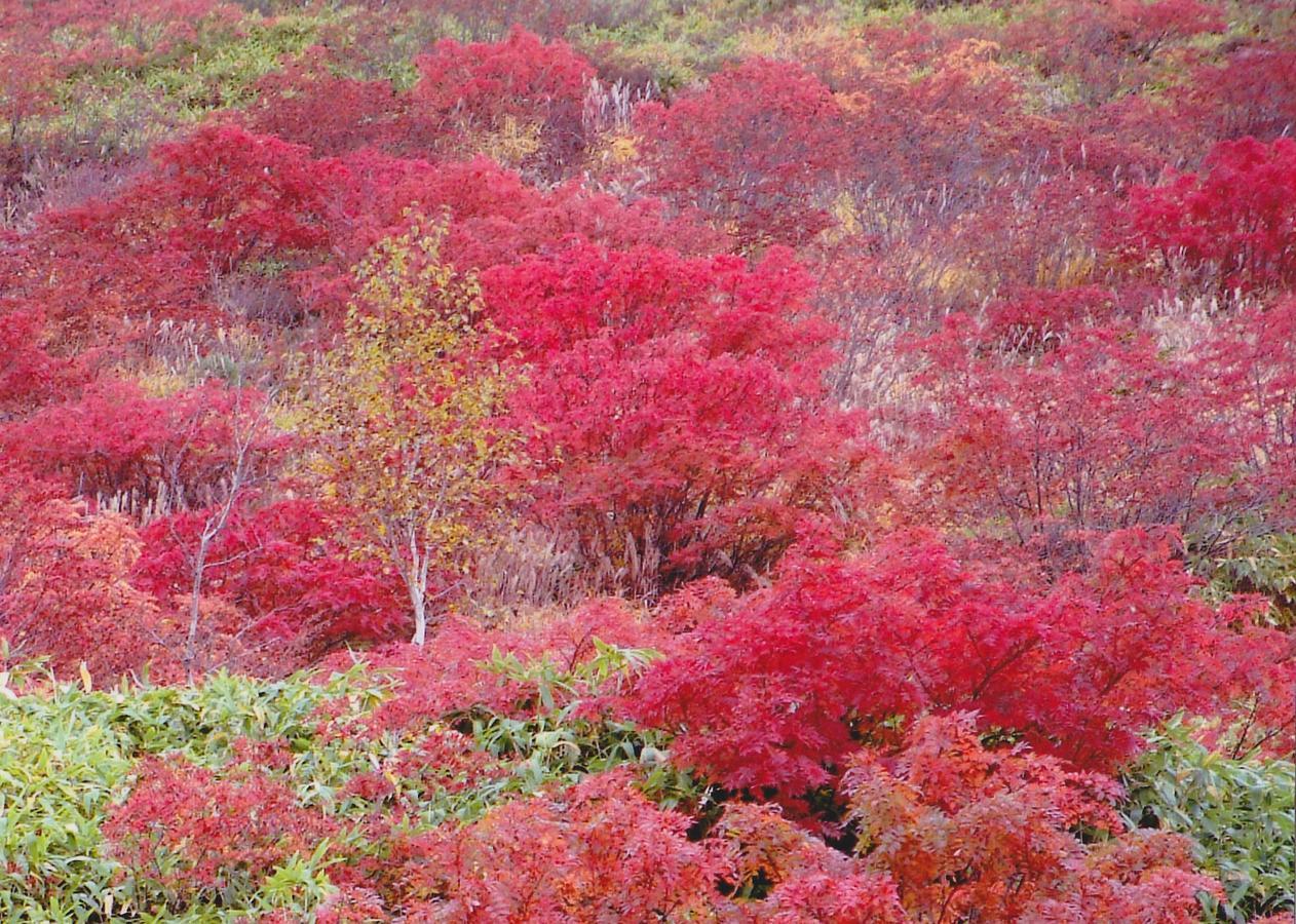 Shiga Kogen Hotel Shiga Sunvalley Jamanoucsi Kültér fotó